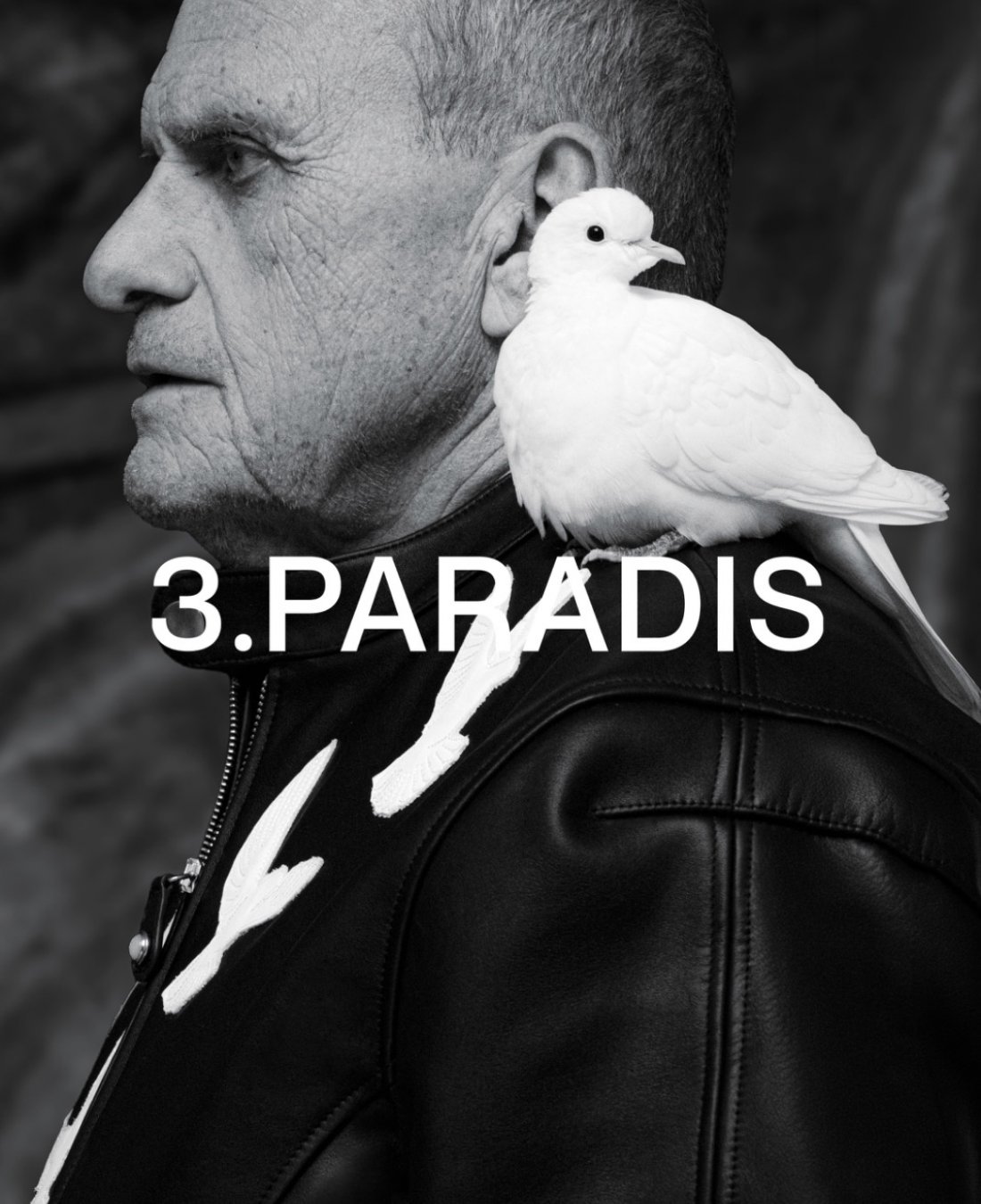 3PARADIS