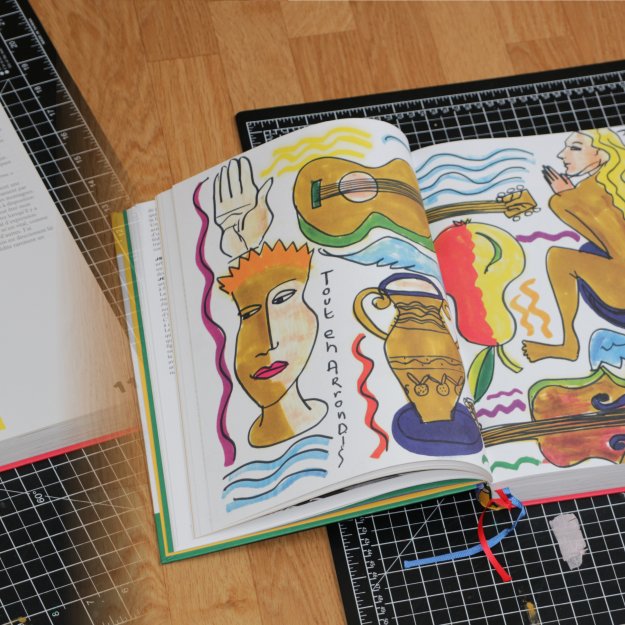 Dessins tout-terrain - Flammarion