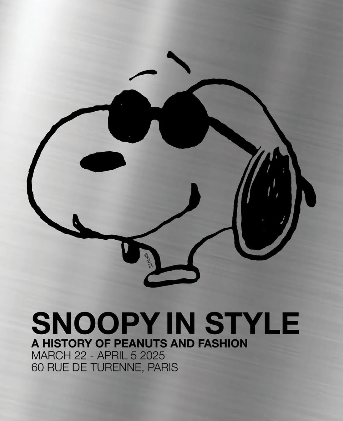 Snoopy In  Style : Une Histoire de Peanuts et la mode